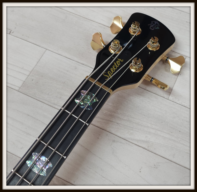 Spector Euro 4 CST, Natural Gloss